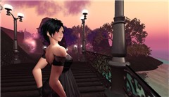 ponte