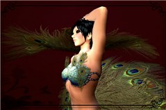 piume