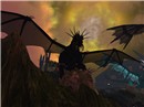 Dragon 03
