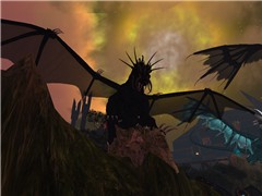 Dragon 03