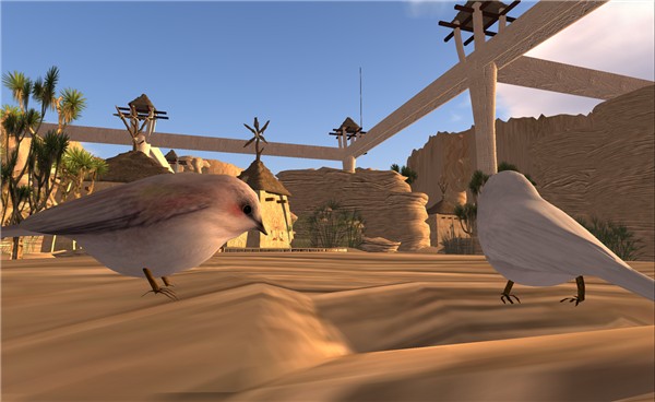 birds3