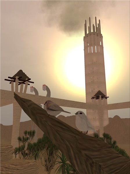 birds2