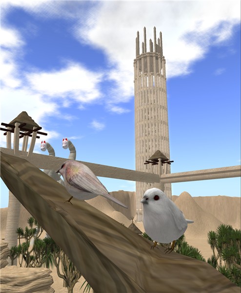 birds1