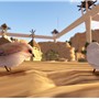 birds6