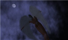 NIGHTFLIGHT