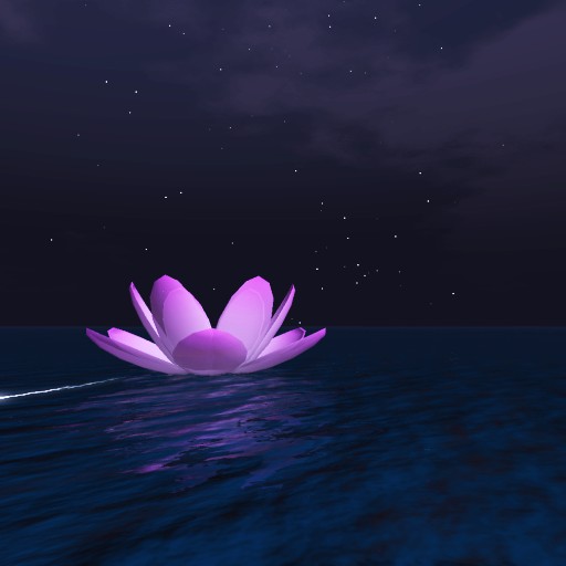 Lotus