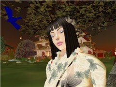 Blue bird and Geisha