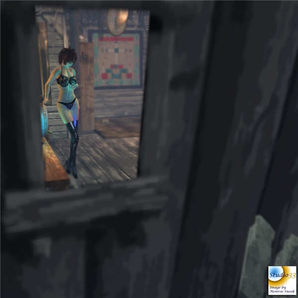 Window