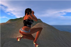 Snapper 4