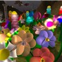 Garden of NPIRL Delights