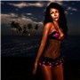 Night in the Tropics