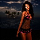 Night in the Tropics