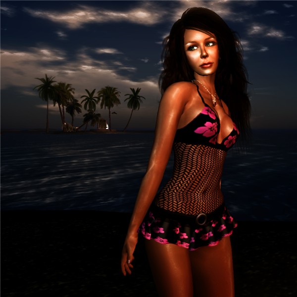 Night in the Tropics