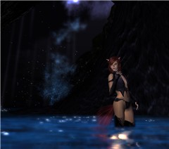 Neko reflections