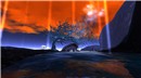 wolf and cat