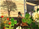 Rhizome2