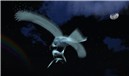 Snapshot_272