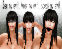 The Three Wise Honey's