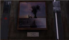 Cannery Rezzable _ Koinup Exhibition - Koinup Burt