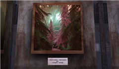 Cannery Rezzable _ Koinup Exhibition - Koinup Burt