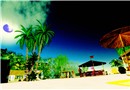 Beach~1