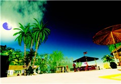 Beach~1