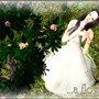 Life Is A Flower