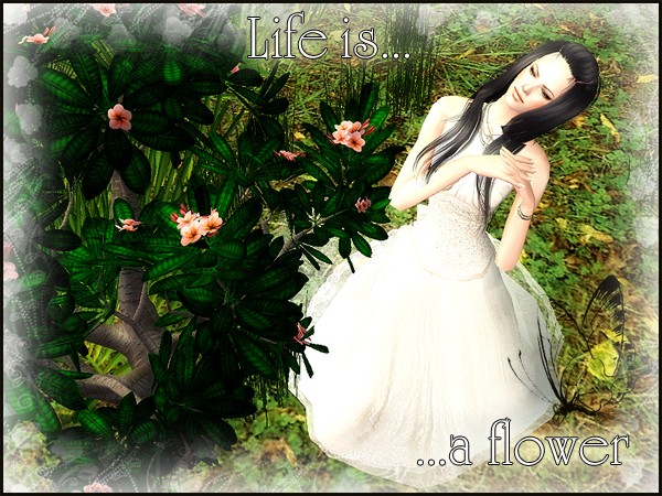 Life Is A Flower