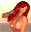 Snapshot_022