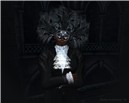 dophin dark2 