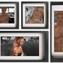 quadro