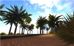 Desert Island
