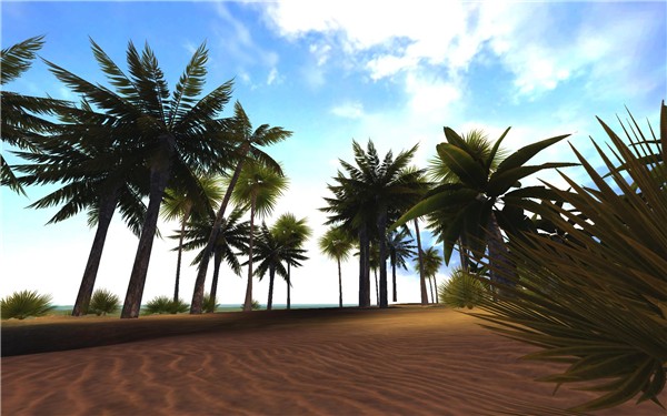 Desert Island
