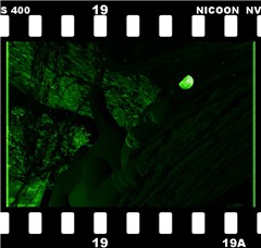 cougar IR photo proof