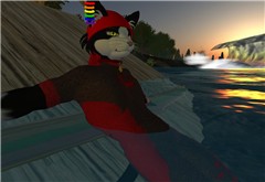 Surf Cat portrait, "onramp"