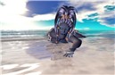Reaching the shore