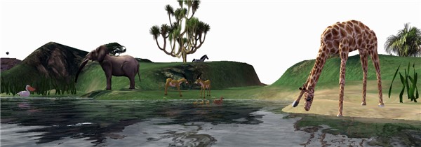 My Africa
