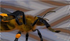 A Bee at Tuna Oddfellow's Ball