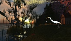 An Egret at Caladon