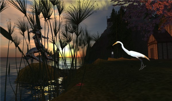 An Egret at Caladon