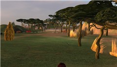 Make a Reportage Inworld - Koinup Burt