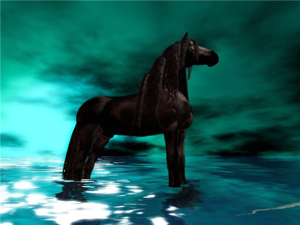 Black Stallion
