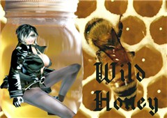 Wild Honey
