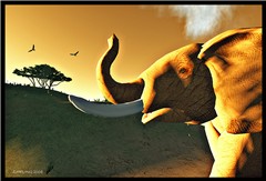 When elephants talk