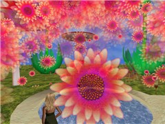 Snapshot_107