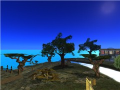 Snapshot_111