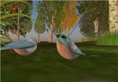 Wildlife in the woods