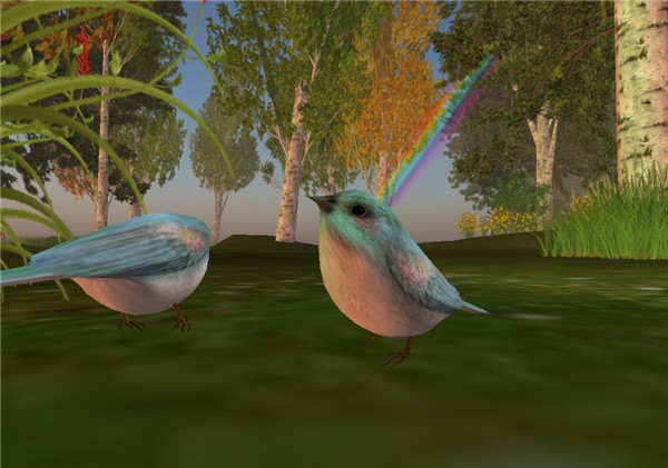 Wildlife in the woods