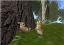 Bunnies