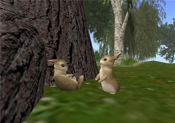 Bunnies